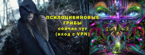 дурь Алексин