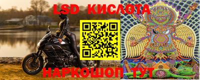 гидропоника Донской