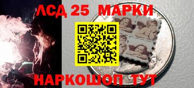 гидропоника Донской